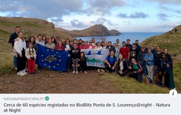 Cerca de 60 espécies registadas no BioBlitz Ponta de S. Lourenço@night
